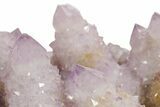 Phenomenal Cactus Amethyst Crystal Cluster - South Africa #364564-2